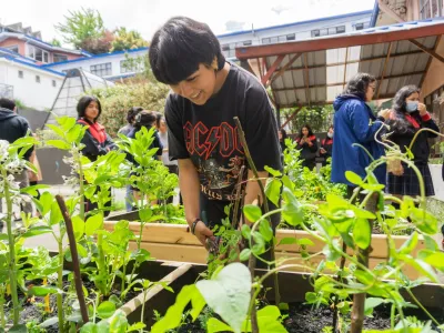 Patio Vivo Cultivable consolida red de innovación educativa entre liceos TP de Los Lagos