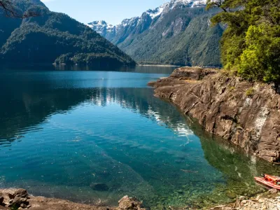Pionero monitoreo de fauna con ADN permite identificar 13 nuevas especies en Los Lagos