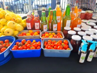 Programa Agroecológico en la región de Los Lagos cerró actividades con feria de productos en Frutillar