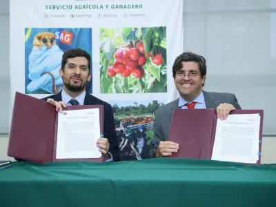 SAG y Audubon firman convenio que permitirá fortalecer la vigilancia de enfermedades en aves silvestres