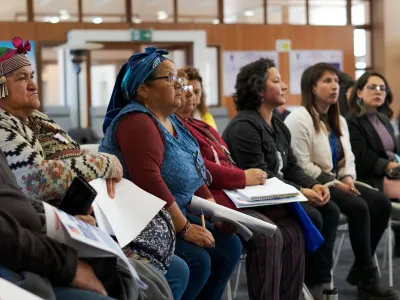 Se inició Consulta Pública para implementar el Acuerdo de Escazú en la Región de Los Lagos
