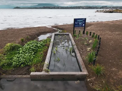Tecnología natural al servicio del lago: finaliza construcción de humedal fitodepurador piloto en playa centro en Puerto Varas
