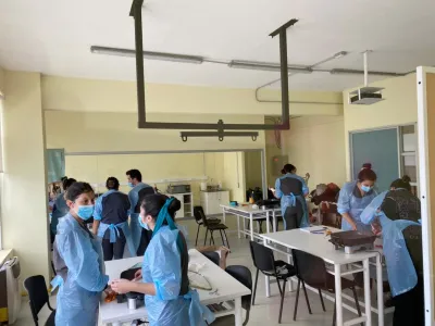 Terapia Ocupacional UST: Profesionales del bienestar de las personas, organizaciones y/o comunidades