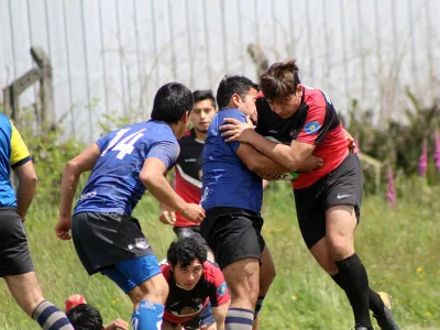 Traukos ganó Seven de las Rosas