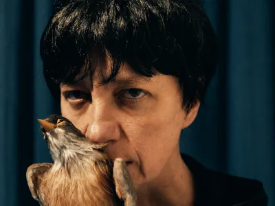 Una mujer que decide ser gata: la premiada obra alemana La Gata Eleonore llega a Puerto Varas