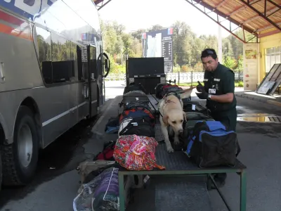 Viajes en Fiestas Patrias: SAG refuerza controles y entrega recomendaciones a quienes cruzan la frontera